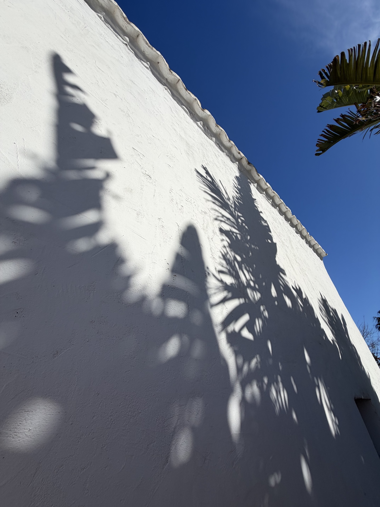 Resa Estates Finca san Miguel for sale offline 3.jpeg